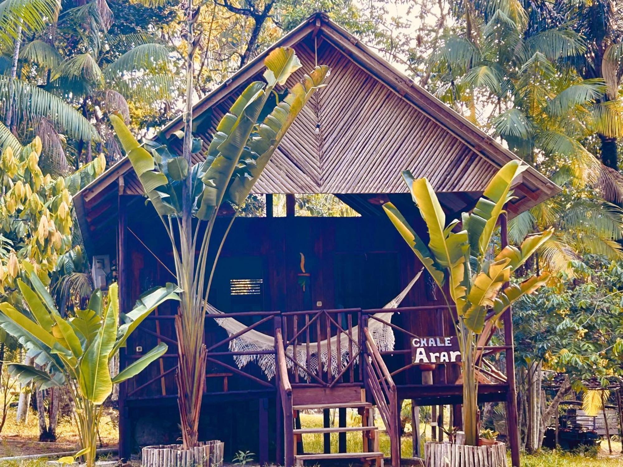 Ponta Poranga Jungle Lodge Manaos Extérieur photo