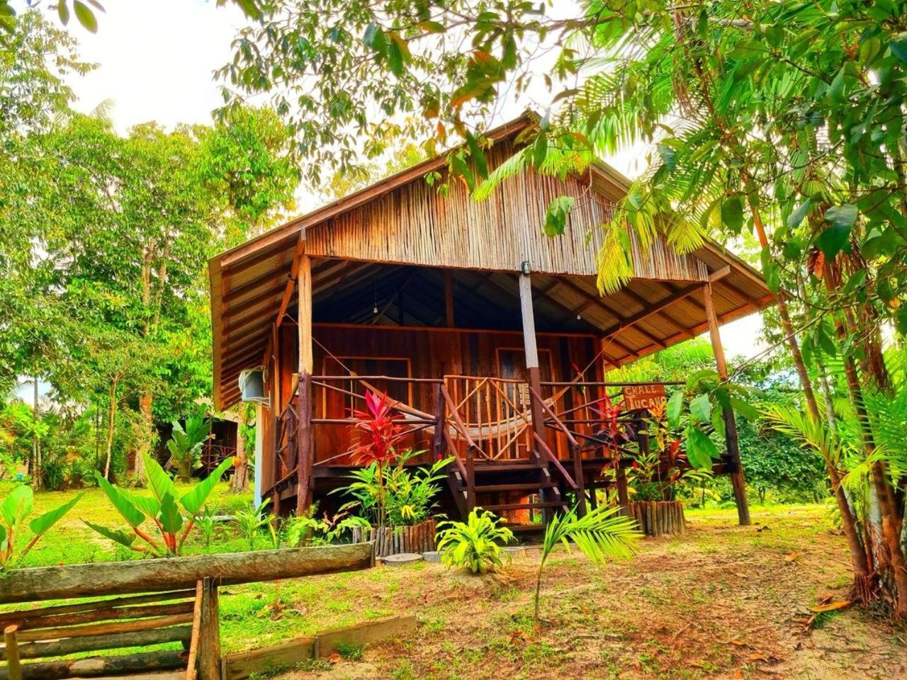 Ponta Poranga Jungle Lodge Manaos Extérieur photo